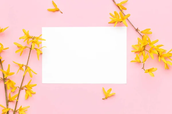 黄色の花とピンクの背景に空白のグリーティングカードで木の枝を開花 — ストック写真
