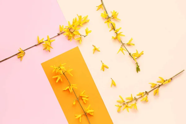 Virágzó Ágak Sárga Virágok Színes Háttér — Stock Fotó