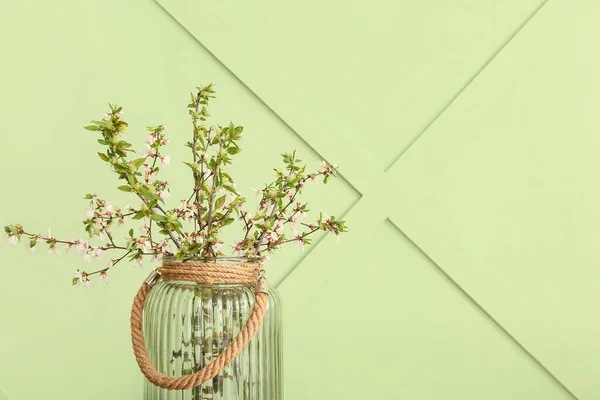 Vaso Con Rami Albero Fiore Sfondo Verde — Foto Stock