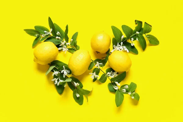 Branches Fleuries Avec Citrons Sur Fond Jaune — Photo