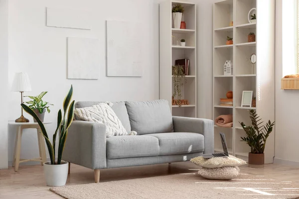 Interior Light Living Room Grey Sofa Houseplants Shelving Unit — Φωτογραφία Αρχείου