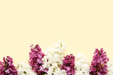 Soluk sarı arka planda güzel çiçek açan leylak çiçekleri