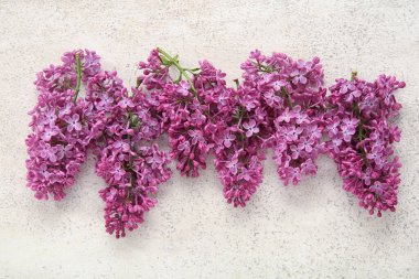 Açık grunge arka planda güzel açan leylak çiçekleri