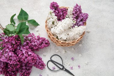 Açık grunge arka planda güzel leylak çiçekleri ve makaslı Hasır sepet