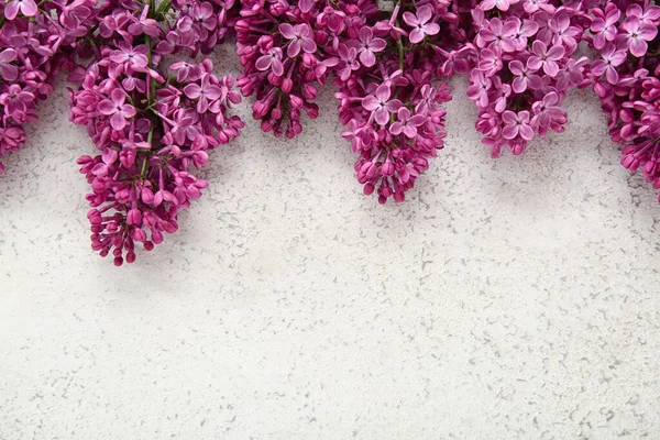 stock image Beautiful blooming lilac flowers on light grunge background