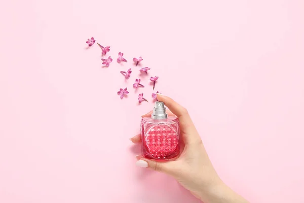 Female hand with bottle of perfume and beautiful lilac flowers on pink background