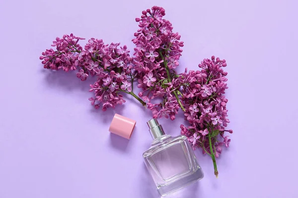 Beautiful blossoming lilac flowers with bottle of perfume on purple background