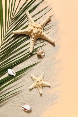 Palmiye yaprağı, kum, deniz yıldızı ve deniz kabukları ile renk arkaplanı, yakın plan kompozisyonu