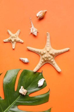 Palmiye yaprağı, deniz yıldızı ve deniz kabukları ile renk arkaplanı bileşimi