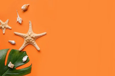 Palmiye yaprağı, deniz yıldızı ve deniz kabukları ile renk arkaplanı bileşimi