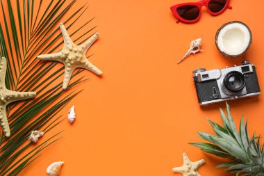 Palmiye yaprağı, deniz yıldızı, meyve ve fotoğraf makinesiyle renklendirilmiş kompozisyon
