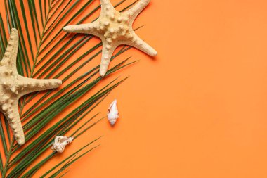 Palmiye yaprağı, deniz yıldızı ve deniz kabukları ile renk arkaplanı bileşimi