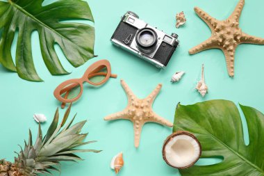 Palmiye yaprakları, deniz yıldızları, meyveler, güneş gözlükleri ve renkli fotoğraf makinesiyle kompozisyon