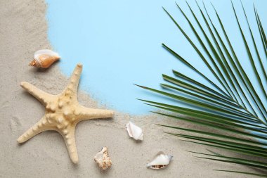 Kum, palmiye yaprağı, deniz yıldızı ve deniz kabuklarının renk arkaplanlı bileşimi