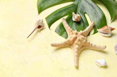 Palmiye yaprağı, denizyıldızı ve sarı arka planda deniz kabuğu bileşimi