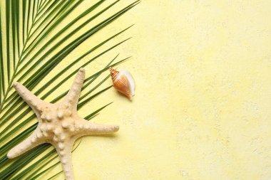 Palmiye yaprağı, deniz yıldızı ve deniz kabuğuyla renklendirilmiş bileşim