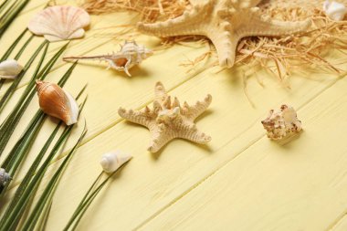 Deniz yıldızları, deniz kabukları ve ahşap arka planda palmiye yaprağı kompozisyonu, yakın plan
