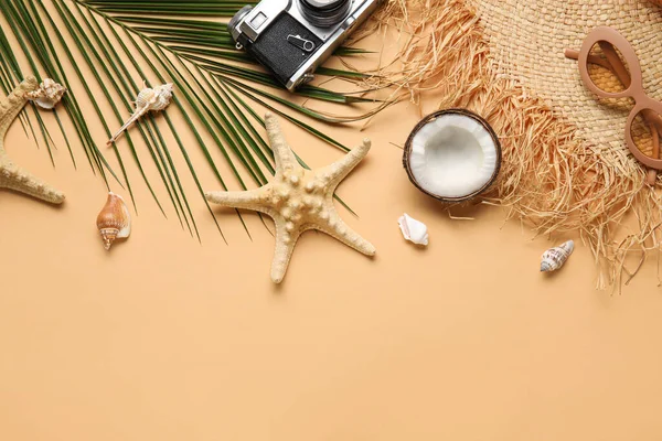 Composition Beach Accessories Photo Camera Palm Leaf Seashells Color Background — Stock Photo, Image