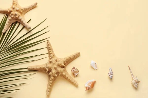 Composition Starfishes Seashells Palm Leaf Color Background — Stock Photo, Image