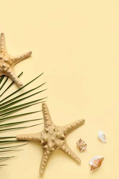 Composición Con Estrellas Mar Conchas Marinas Hojas Palma Sobre Fondo — Foto de Stock