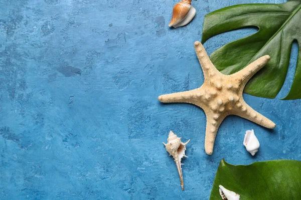 Composición Con Hojas Palma Estrellas Mar Conchas Sobre Fondo Color — Foto de Stock
