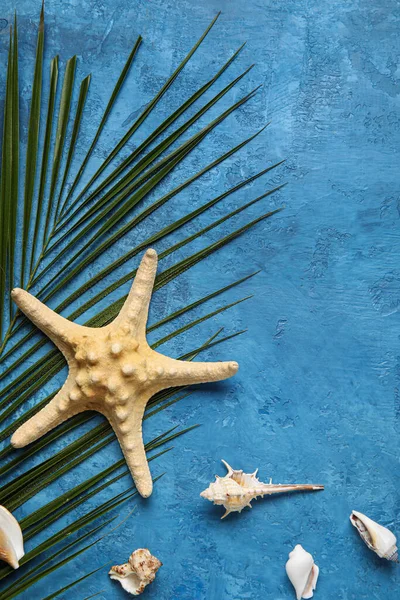 Composición Con Hojas Palma Estrellas Mar Conchas Sobre Fondo Azul — Foto de Stock