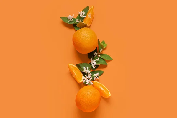 Oranges Blooming Branches Color Background — Stock Photo, Image