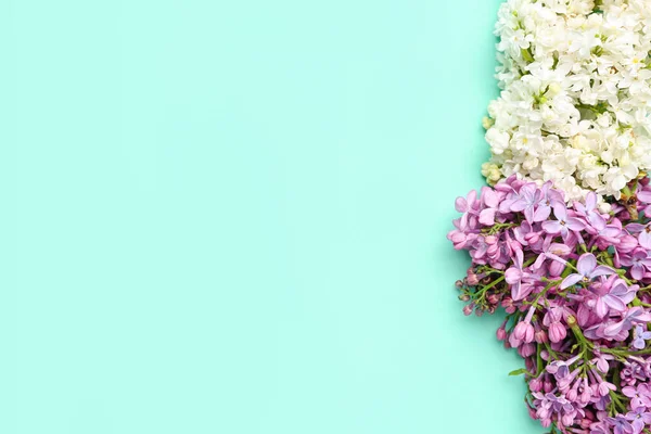 Lilac Twigs Turquoise Background — Stock Photo, Image