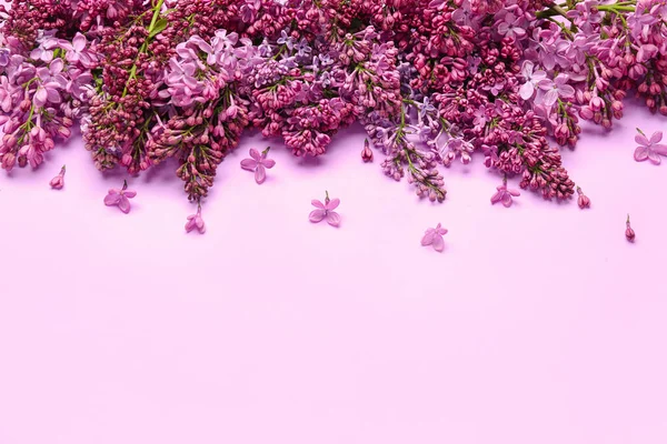 Lilac Flowers Color Background — Stock Photo, Image