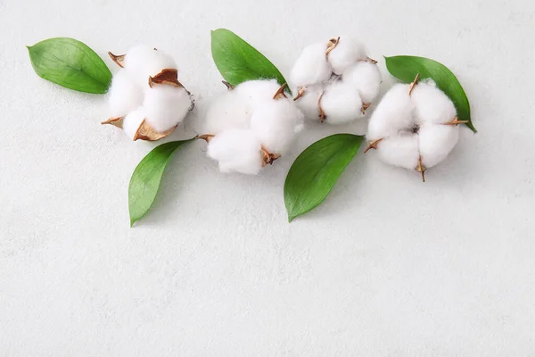 Cotton Flowers Plant Leaves White Grunge Background — Stock Photo, Image
