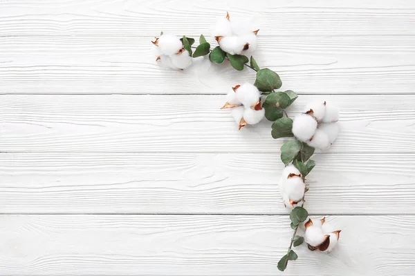 Cotton Flowers Eucalyptus White Wooden Background — Stock Photo, Image