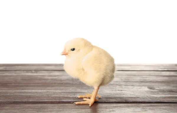 Cute Little Chick Wooden Table White Background — Stock Photo, Image