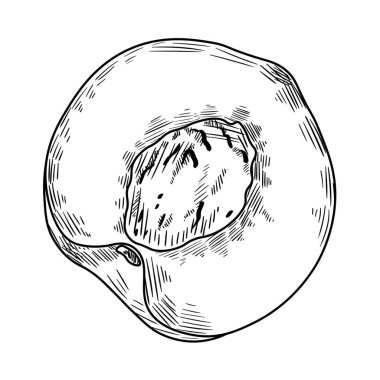 Şeftalinin yarısını beyaz arkaplana çiz