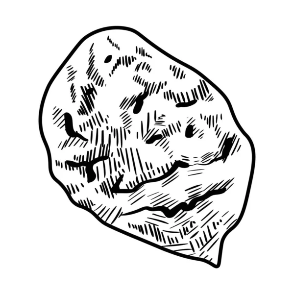 Pfirsichstein Auf Weißem Hintergrund — Stockvektor