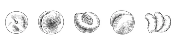 Набор Вырезанных Персиков Белом Фоне — стоковый вектор