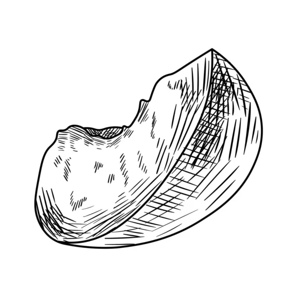 Pièce Pêche Dessinée Sur Fond Blanc — Image vectorielle