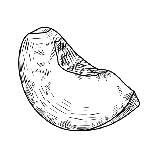 Pièce Pêche Dessinée Sur Fond Blanc — Image vectorielle