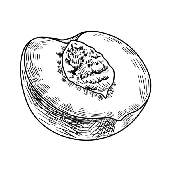 Половинка Персика Белом Фоне — стоковый вектор