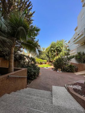 Merdivenleri, yeşil ağaçları ve bitkileri olan güzel cadde manzarası