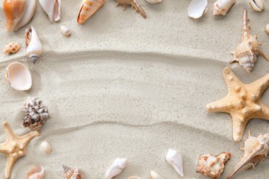 Çerçeve kumdaki deniz yıldızları ve deniz kabuklarından yapılmıştır.