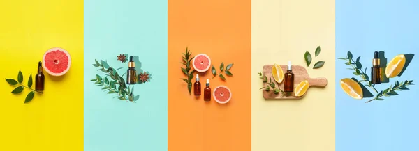 Collage Natural Essential Oils Bottles Color Background Top View — Stock Photo, Image