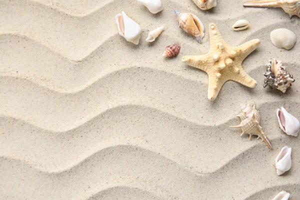 Stella Marina Conchiglie Sulla Sabbia — Foto Stock