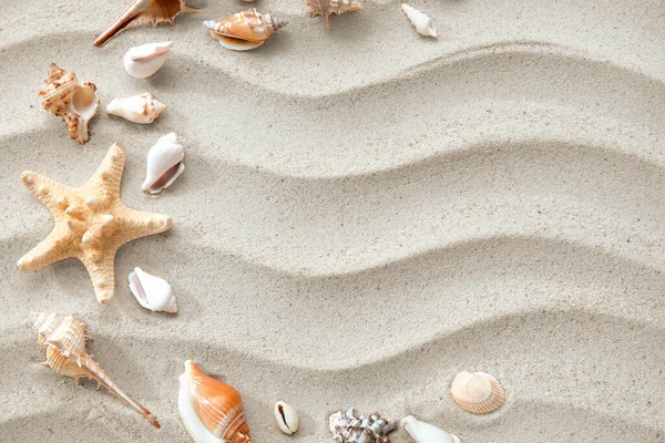 Stomme Sjöstjärnor Och Snäckskal Sand — Stockfoto