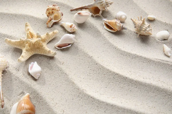 Frame Made Starfish Seashells Sand — Stock Photo, Image