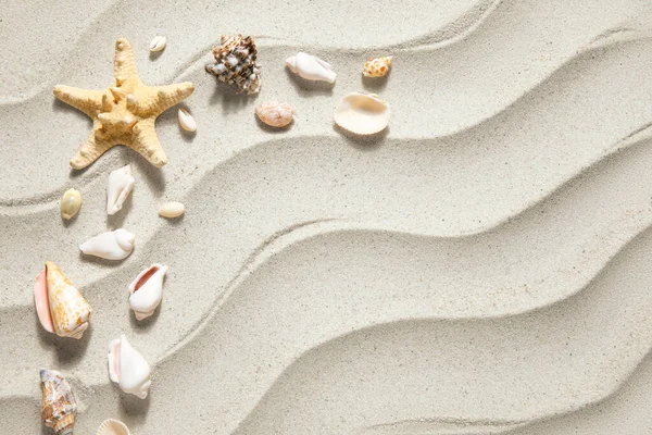 Bingkai Terbuat Dari Bintang Laut Dan Kerang Laut — Stok Foto