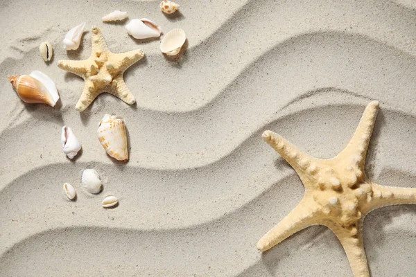 Starfishes Seashells Sand — Stock Photo, Image