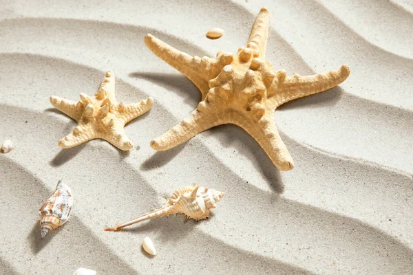 Starfishes Och Snäckskal Sand — Stockfoto