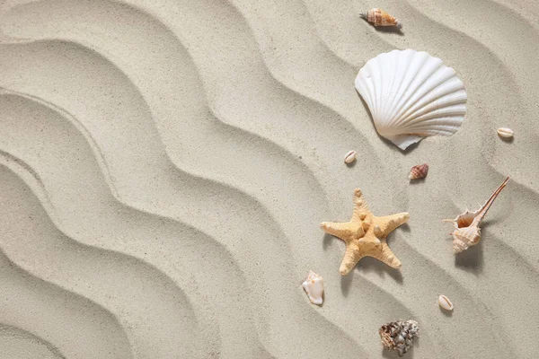 Sjöstjärnor Och Snäckskal Sand — Stockfoto