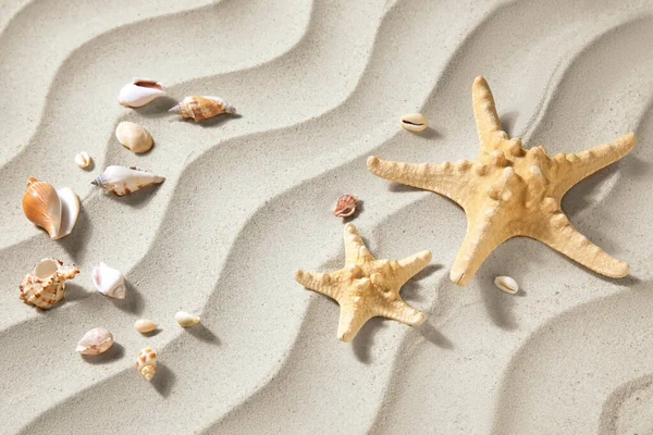 Морские Звезды Ракушки Песке — стоковое фото