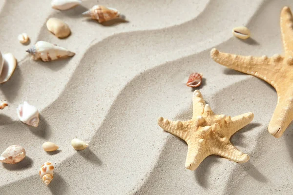 Starfishes 和沙滩上的贝壳 — 图库照片